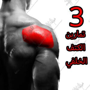 3 تمارين عضلة الكتف الخلفي